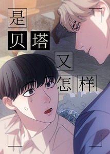 是贝塔又怎样漫画27