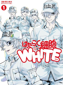 工作细胞white漫画