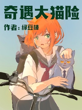 小猫奇遇