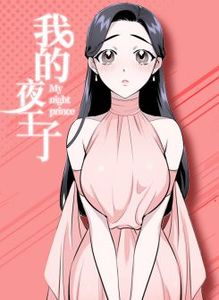 我的夜王子漫画免费观看