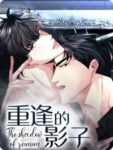 重逢的影子漫画完整版在线观看